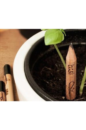 Alternative view of Bloeipotlood