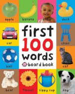 First 100 Words | 9789047629047