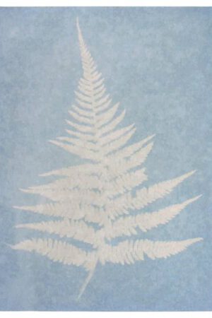 PhänoMINT zonnepapier A5 | 4033477303189