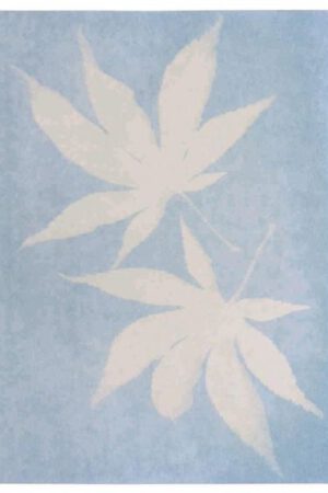 PhänoMINT zonnepapier A5 | 4033477303189