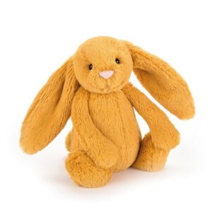 bashful-saffron-bunny-medium |