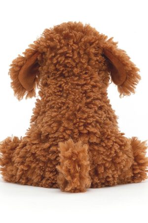 Cooper Doodle Dog | 670983134568 Cooper Doodle Dog