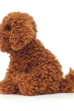Cooper Doodle Dog | 670983134568 Cooper Doodle Dog