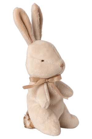 Mijn eerste konijntje | 5707304110934 Mijn eerste konijntje