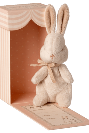 Mijn eerste konijntje | 5707304110934 Mijn eerste konijntje